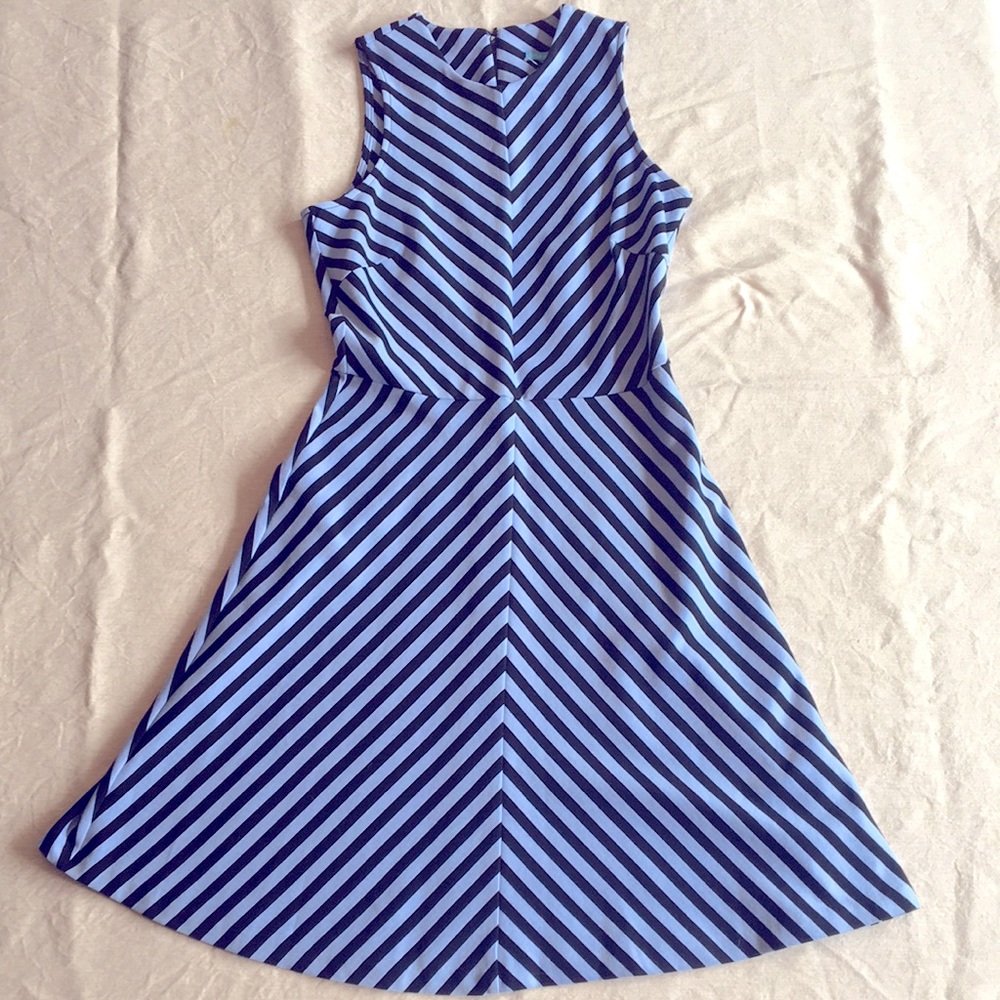 J. McLaughlin Sleeveless Flare Dress